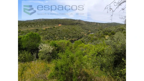 Terreno Agricola ou Rústico para Venda em Castelo Branco