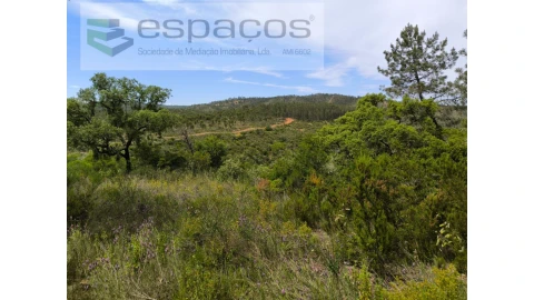Terreno Agricola ou Rústico para Venda em Castelo Branco