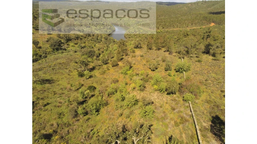 Terreno Agricola ou Rústico para Venda em Castelo Branco Foto 3