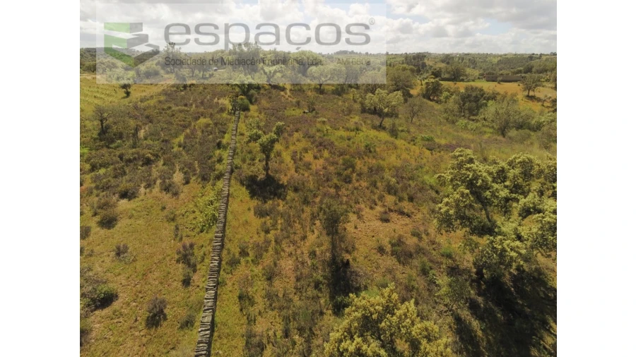 Terreno Agricola ou Rústico para Venda em Castelo Branco Foto 6