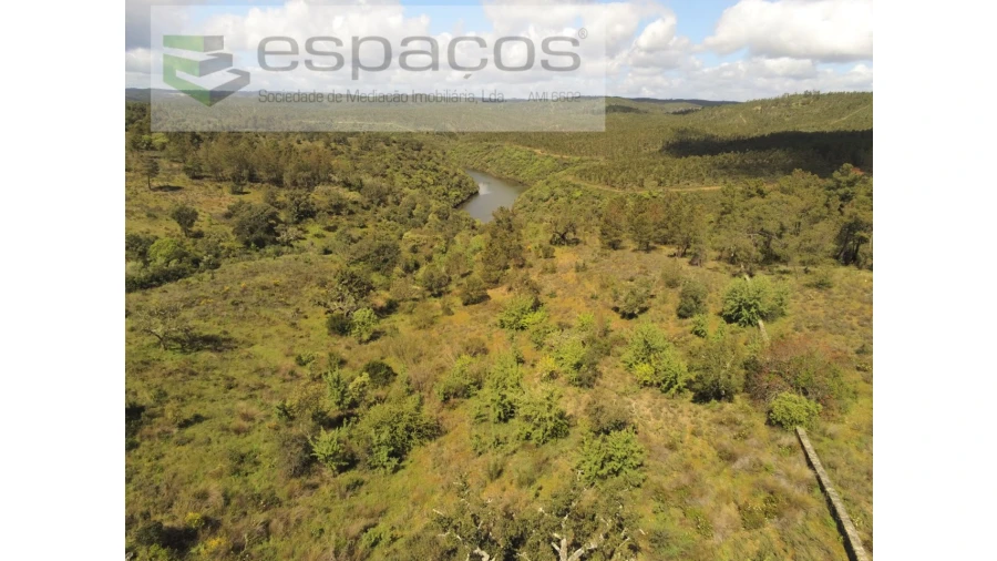 Terreno Agricola ou Rústico para Venda em Castelo Branco Foto 7