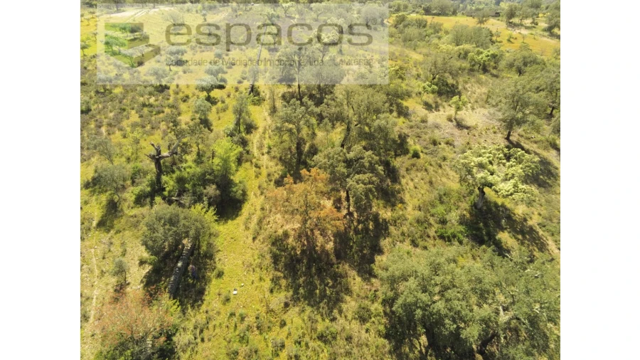 Terreno Agricola ou Rústico para Venda em Castelo Branco Foto 8