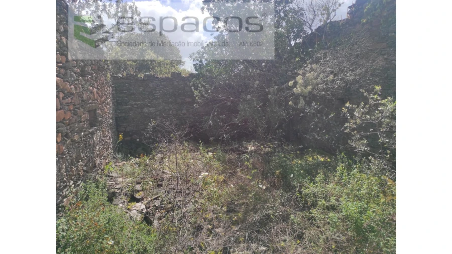 Terreno Agricola ou Rústico para Venda em Castelo Branco Foto 10