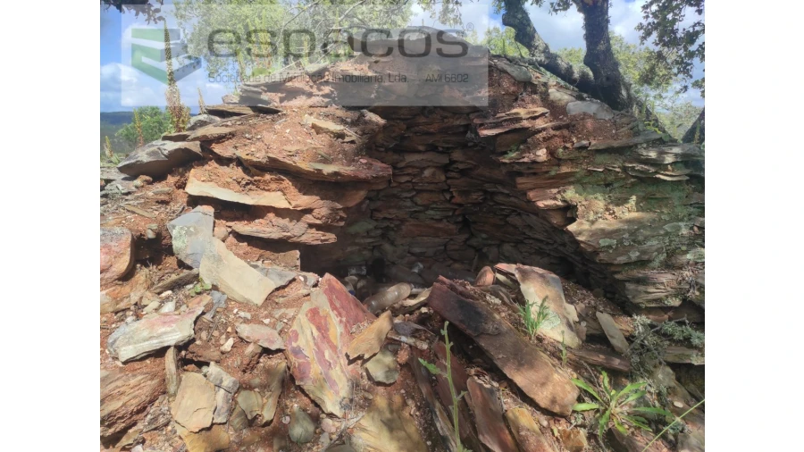 Terreno Agricola ou Rústico para Venda em Castelo Branco Foto 17