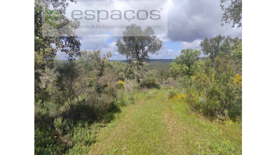 Terreno Agricola ou Rústico para Venda em Castelo Branco Foto 20