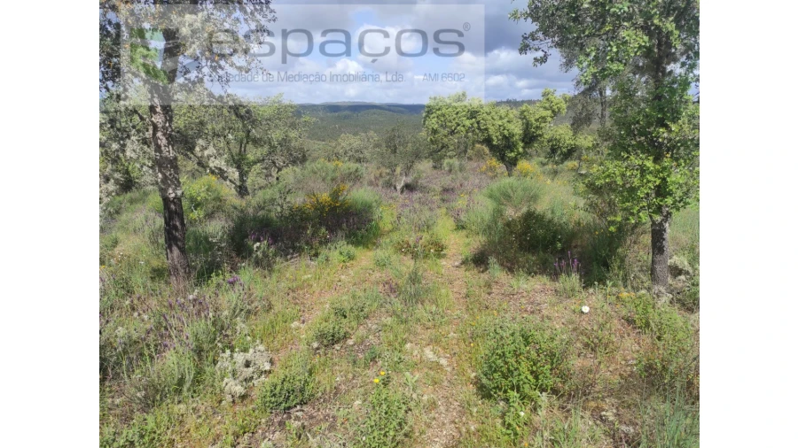 Terreno Agricola ou Rústico para Venda em Castelo Branco Foto 23