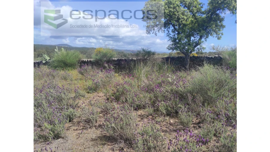 Terreno Agricola ou Rústico para Venda em Castelo Branco Foto 25