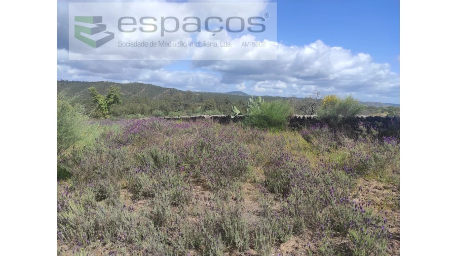 Terreno Agricola ou Rústico para Venda em Castelo Branco Foto 26