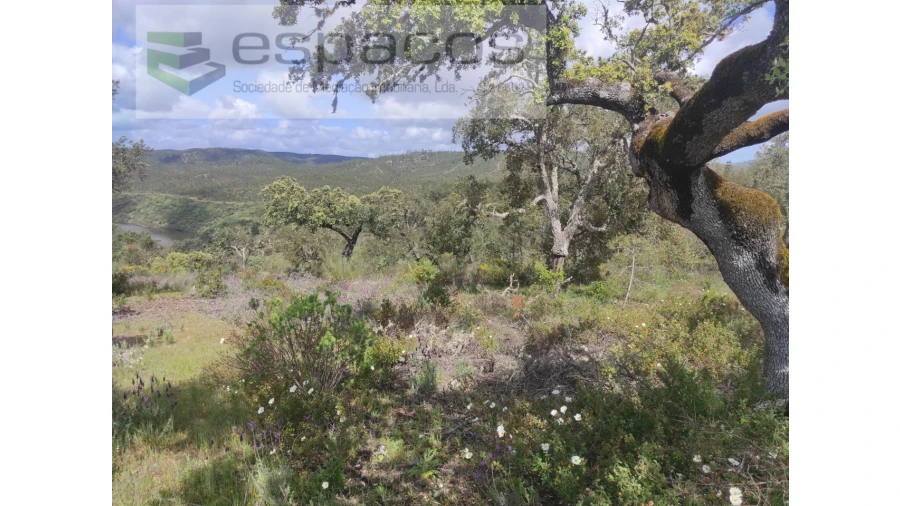 Terreno Agricola ou Rústico para Venda em Castelo Branco Foto 28