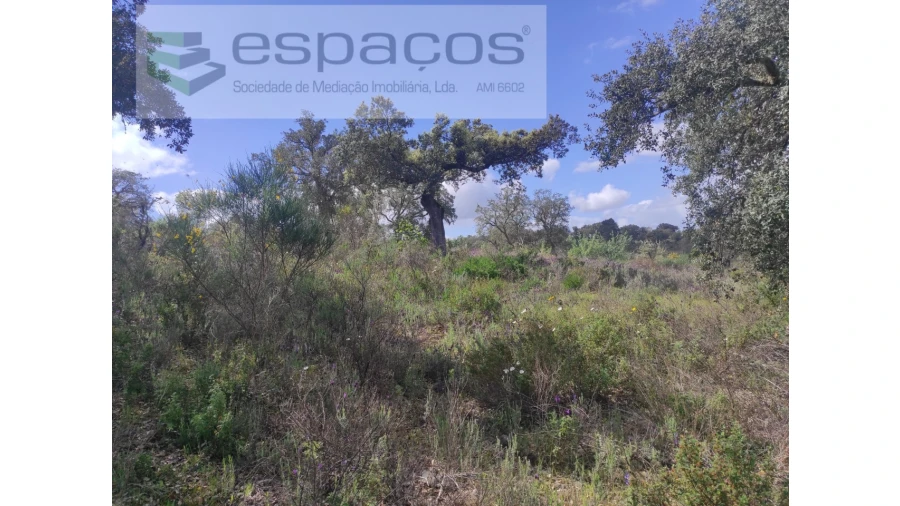 Terreno Agricola ou Rústico para Venda em Castelo Branco Foto 29