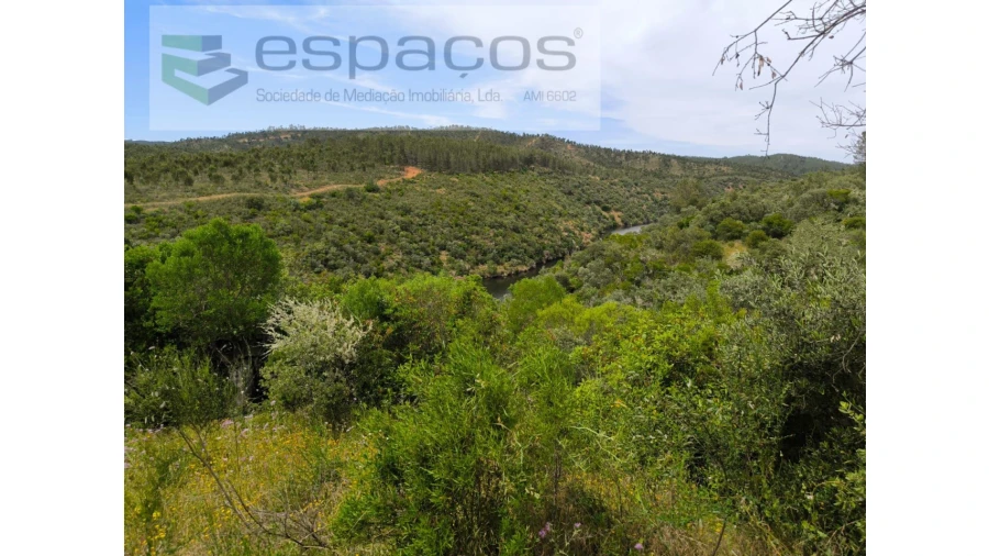 Terreno Agricola ou Rústico para Venda em Castelo Branco Foto 5