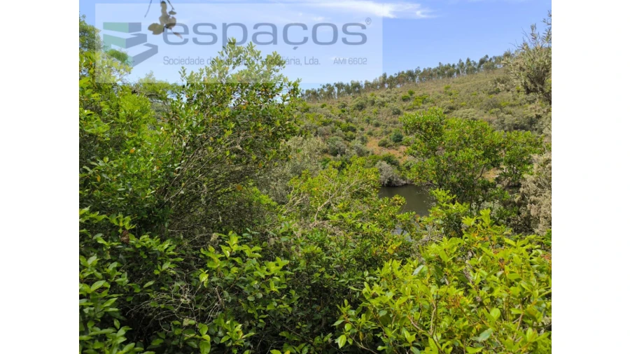 Terreno Agricola ou Rústico para Venda em Castelo Branco Foto 18