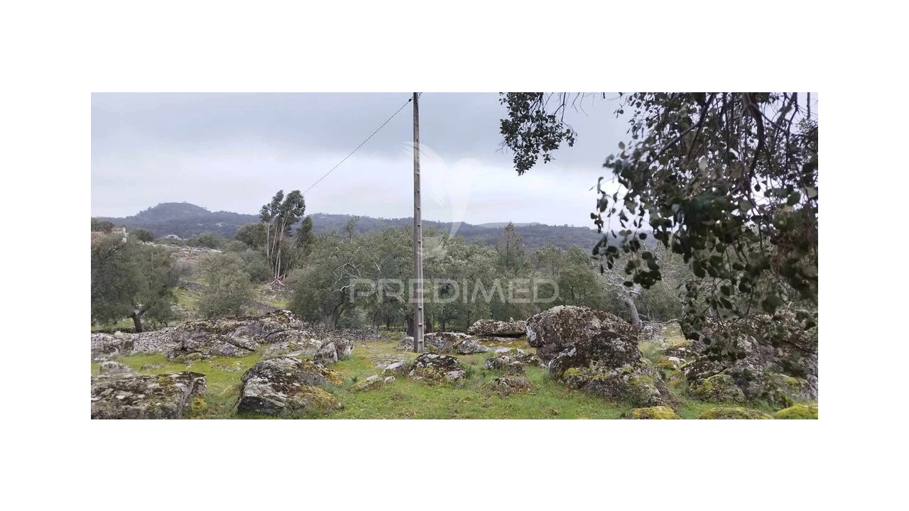 Quinta para Venda em Santa Maria de Marvão Foto 16