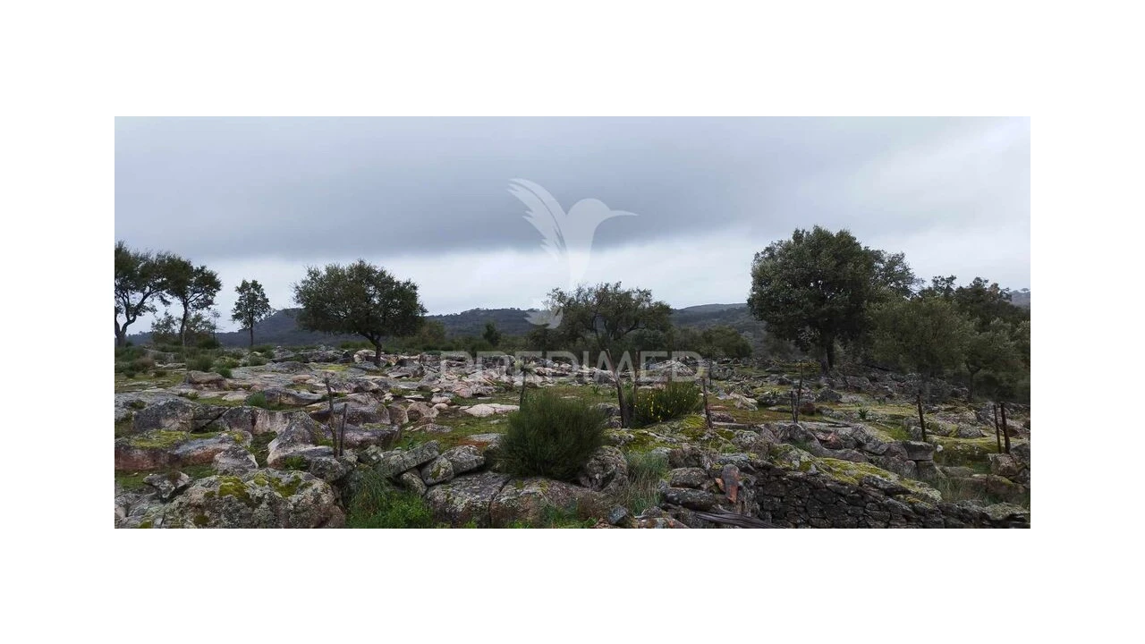 Quinta para Venda em Santa Maria de Marvão Foto 15
