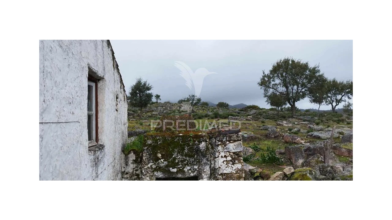 Quinta para Venda em Santa Maria de Marvão Foto 1