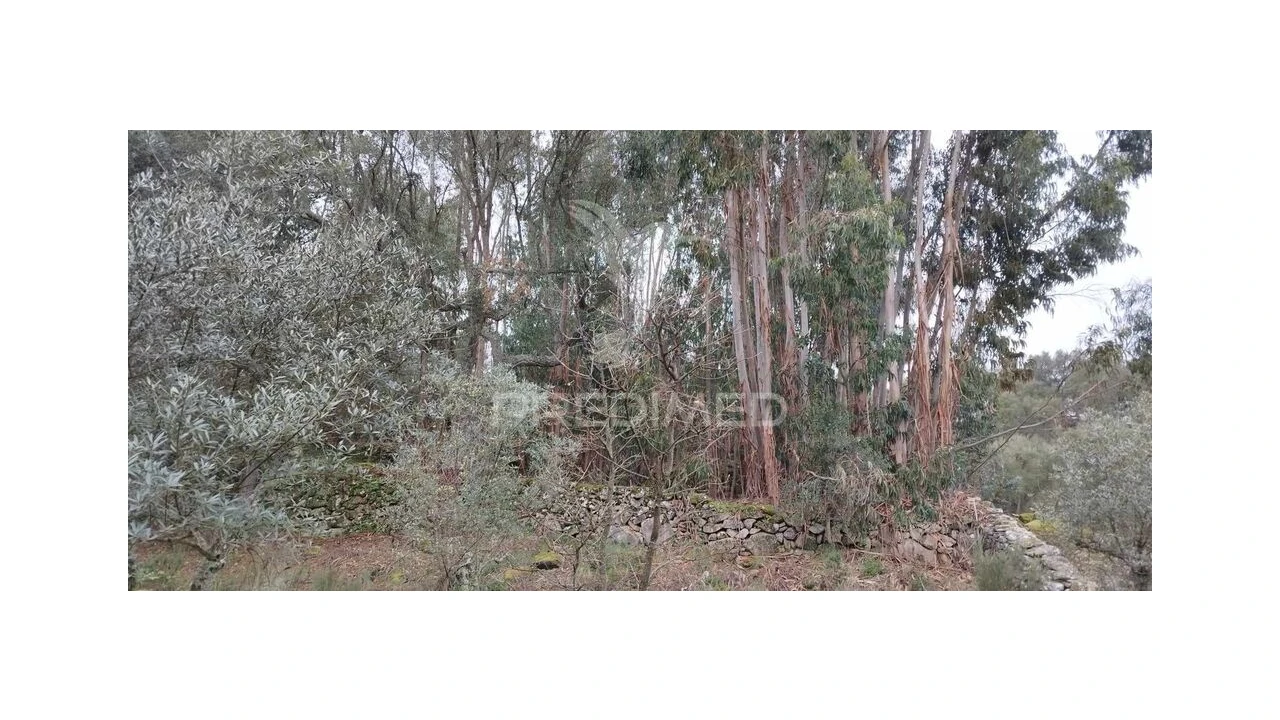 Quinta para Venda em Santa Maria de Marvão Foto 18