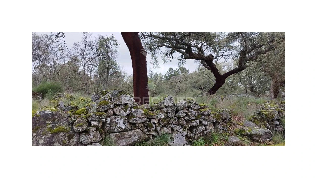 Quinta para Venda em Santa Maria de Marvão Foto 8
