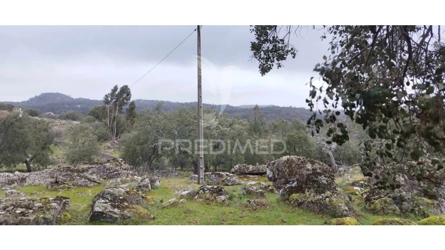Quinta para Venda em Santa Maria de Marvão Foto 16
