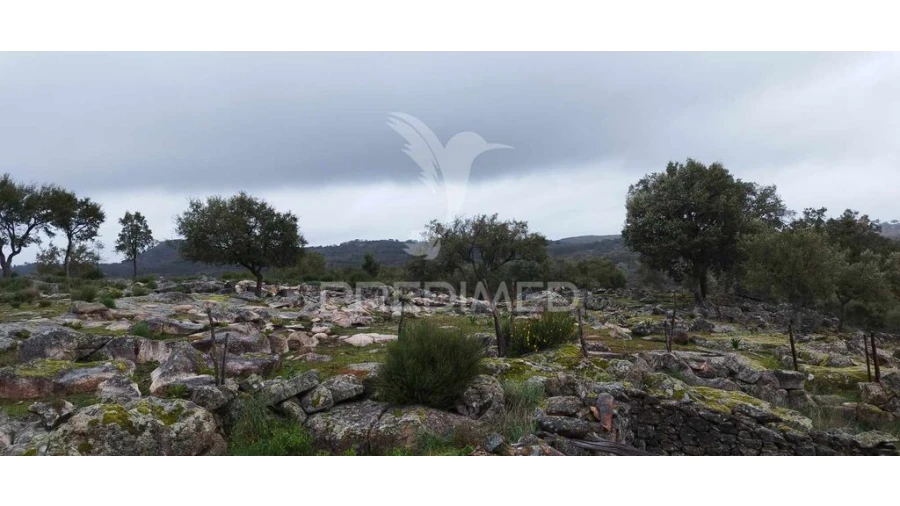 Quinta para Venda em Santa Maria de Marvão Foto 15