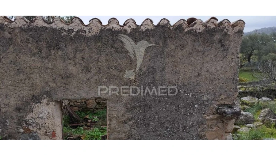 Quinta para Venda em Santa Maria de Marvão Foto 9