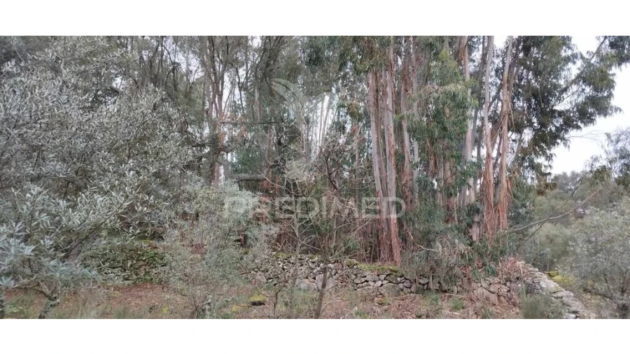 Quinta para Venda em Santa Maria de Marvão Foto 18