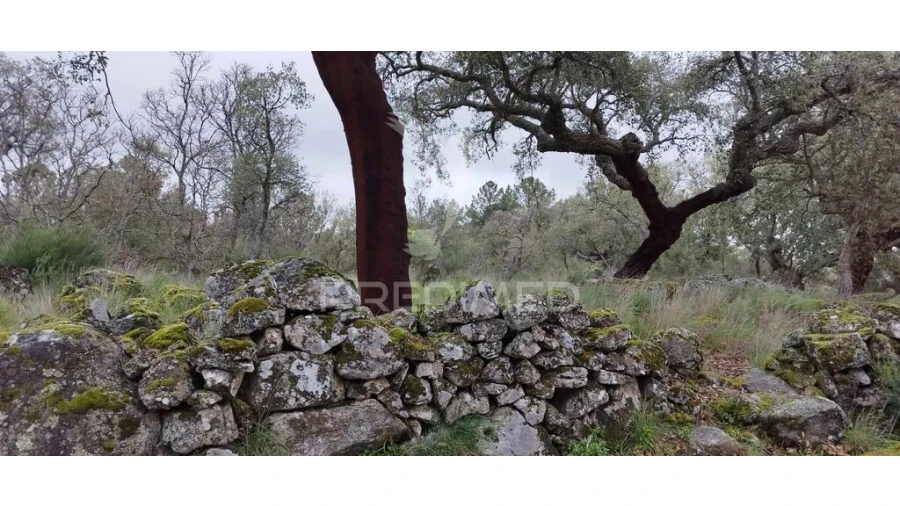Quinta para Venda em Santa Maria de Marvão Foto 5