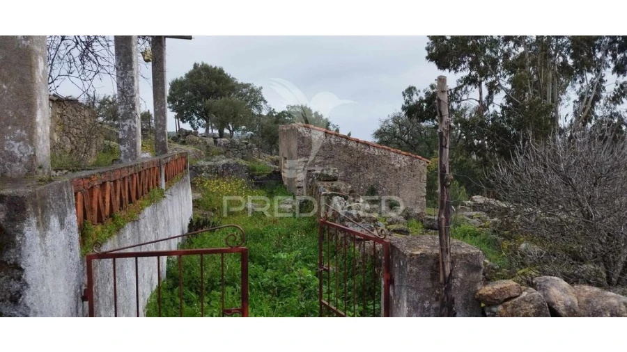Quinta para Venda em Santa Maria de Marvão Foto 10
