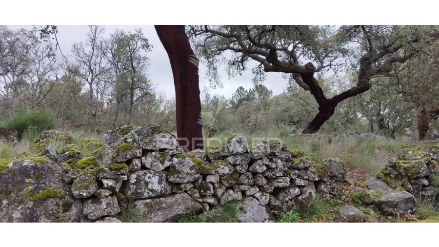 Quinta para Venda em Santa Maria de Marvão Foto 8