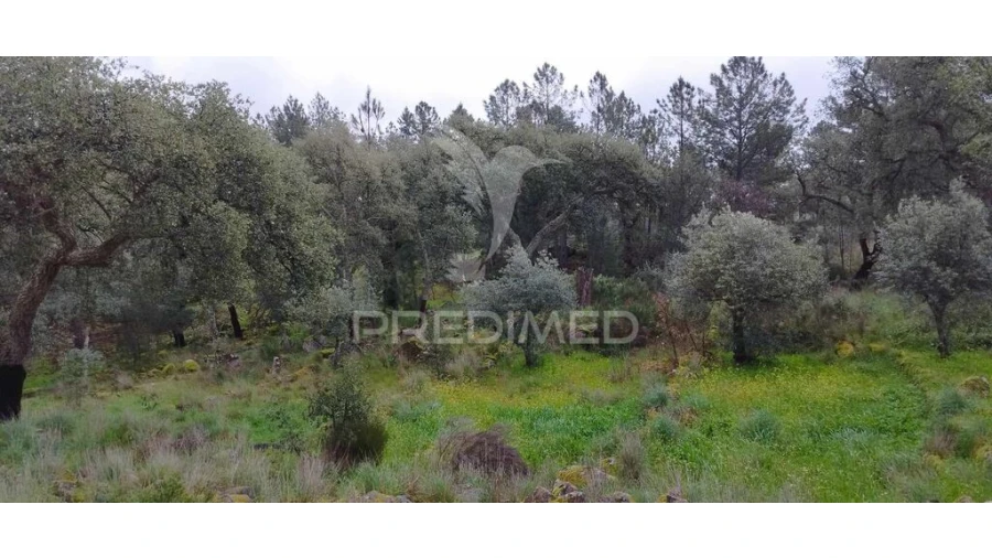 Quinta para Venda em Santa Maria de Marvão Foto 19