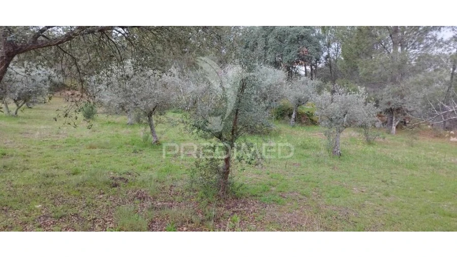 Quinta para Venda em Santa Maria de Marvão Foto 20
