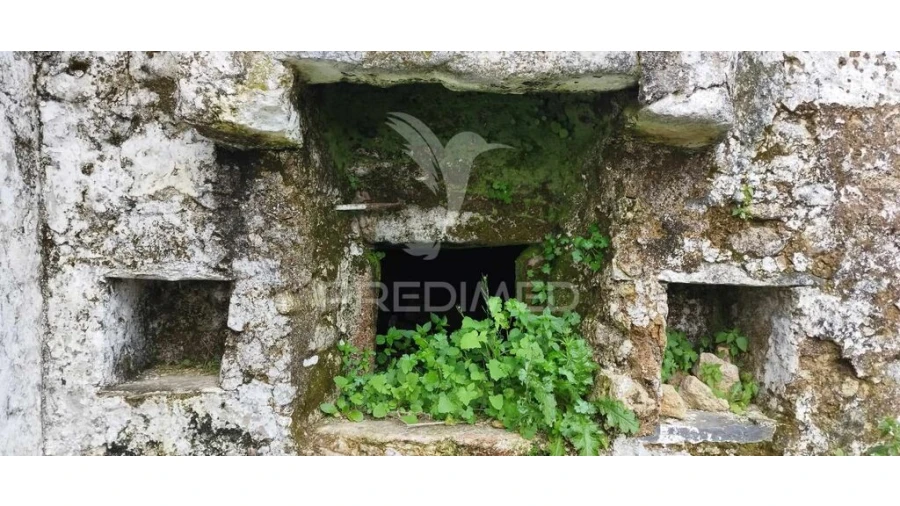 Quinta para Venda em Santa Maria de Marvão Foto 3