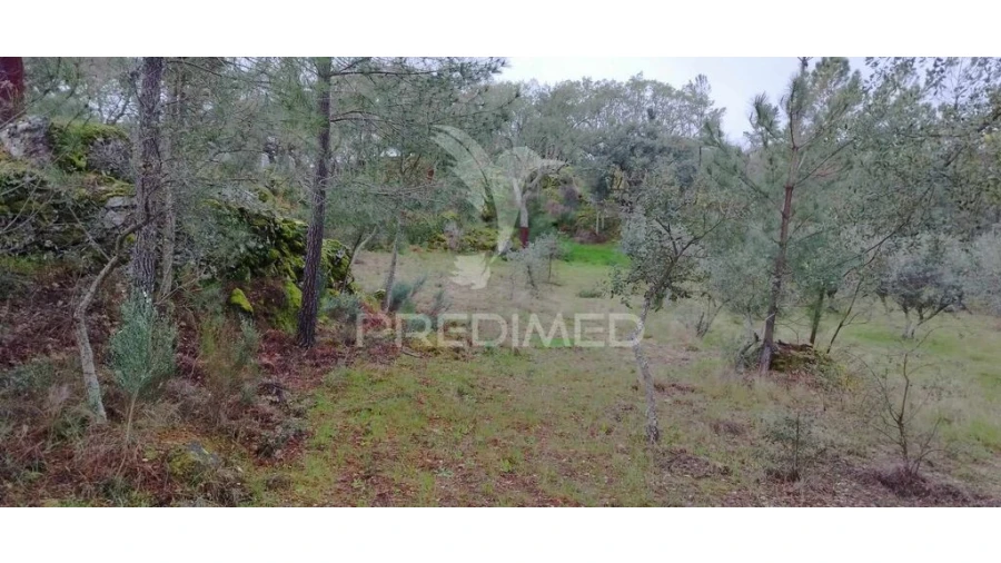 Quinta para Venda em Santa Maria de Marvão Foto 11