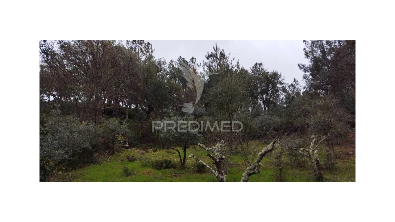 Quinta para Venda em Santa Maria de Marvão Foto 17