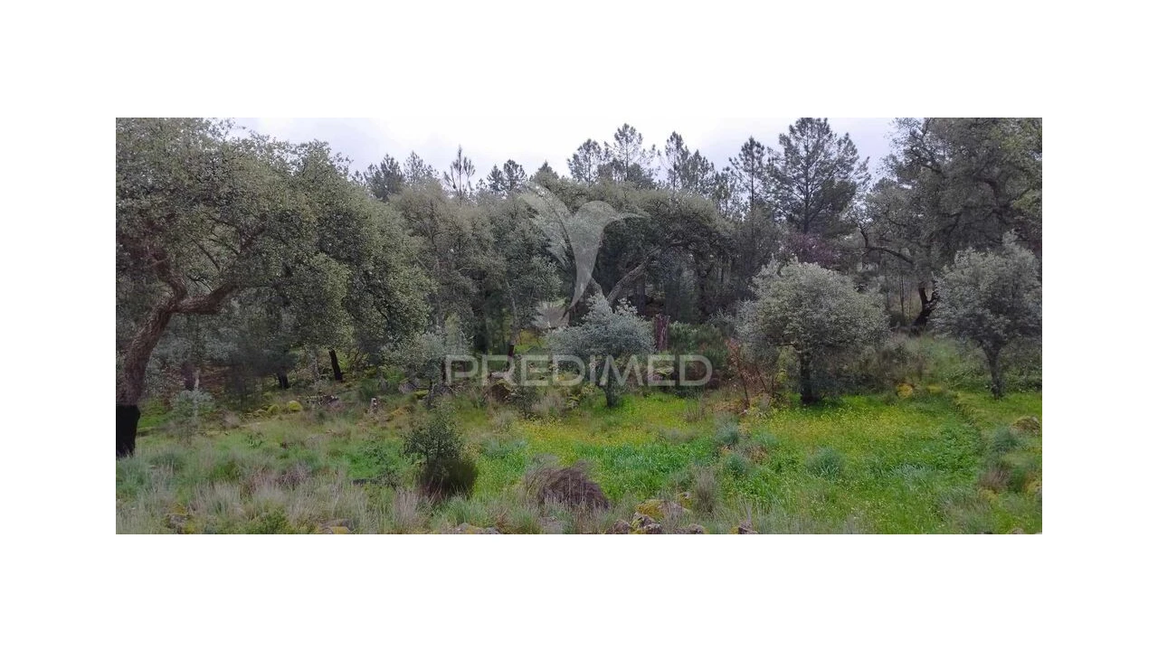 Quinta para Venda em Santa Maria de Marvão Foto 19