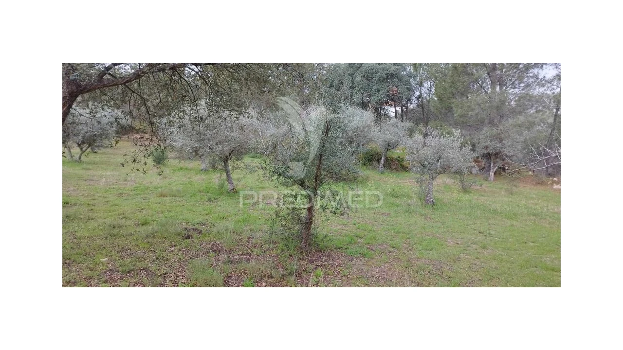 Quinta para Venda em Santa Maria de Marvão Foto 20