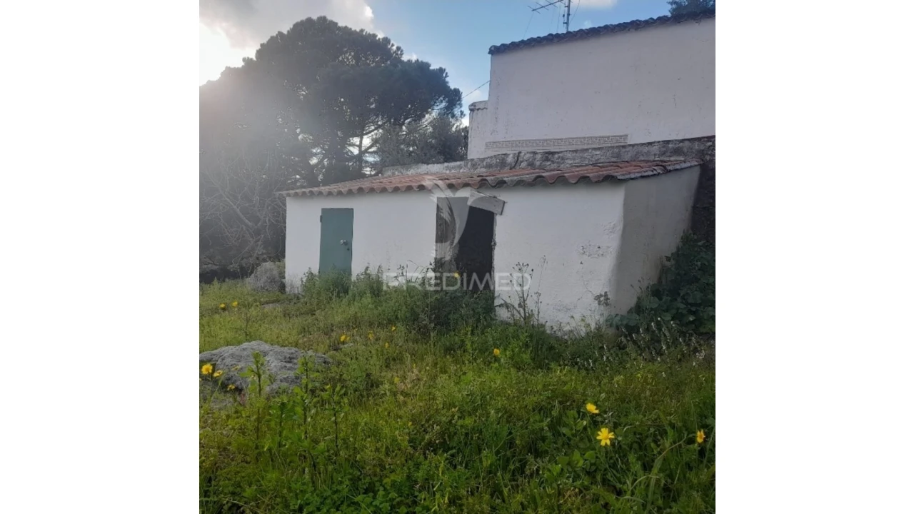Quinta T3 para Venda em Ribeira de Nisa e Carreiras Foto 4