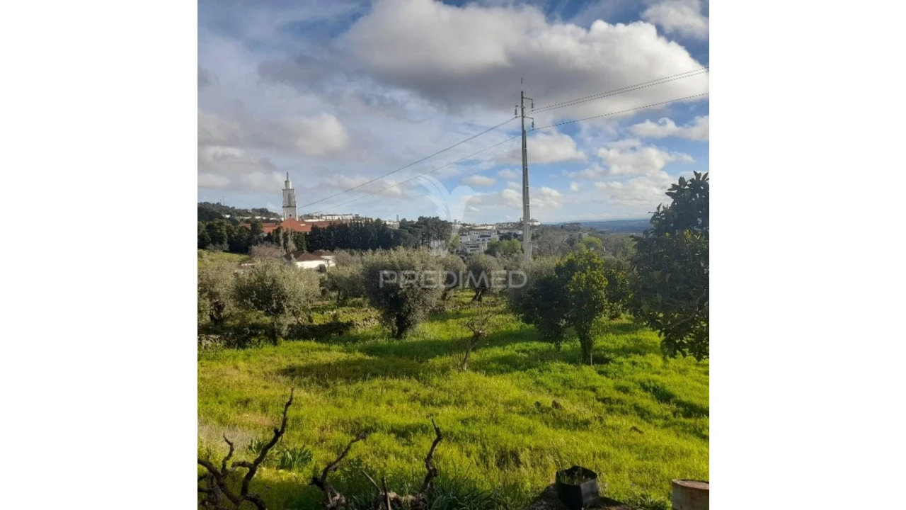 Quinta T3 para Venda em Ribeira de Nisa e Carreiras Foto 8