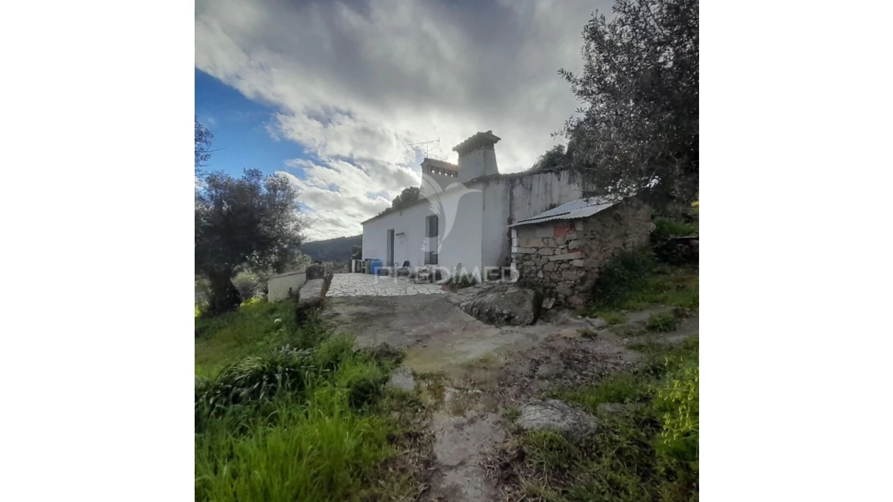 Quinta T3 para Venda em Ribeira de Nisa e Carreiras Foto 1