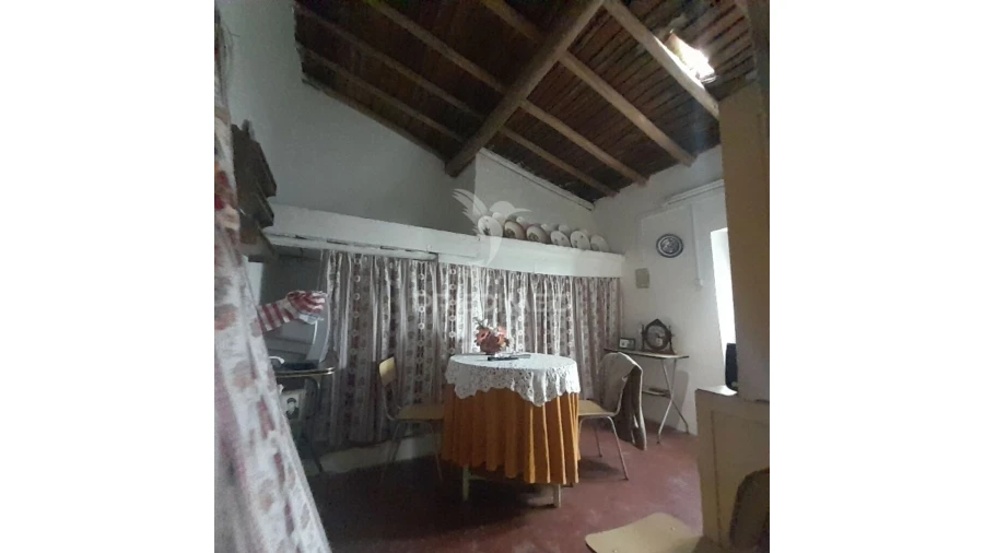 Quinta T3 para Venda em Ribeira de Nisa e Carreiras Foto 10