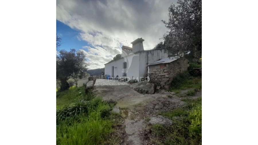 Quinta T3 para Venda em Ribeira de Nisa e Carreiras