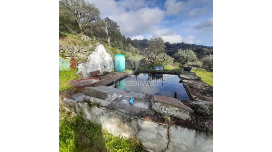 Quinta T3 para Venda em Ribeira de Nisa e Carreiras Foto 5