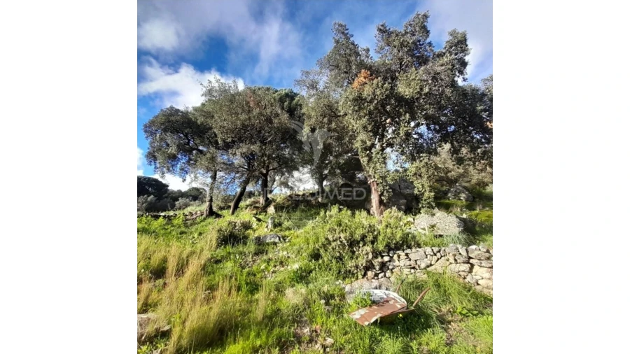 Quinta T3 para Venda em Ribeira de Nisa e Carreiras Foto 7