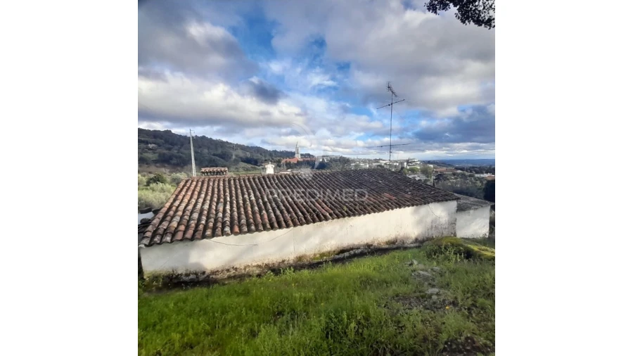 Quinta T3 para Venda em Ribeira de Nisa e Carreiras Foto 15