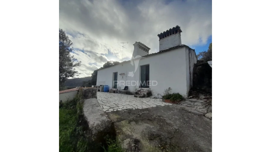 Quinta T3 para Venda em Ribeira de Nisa e Carreiras Foto 9