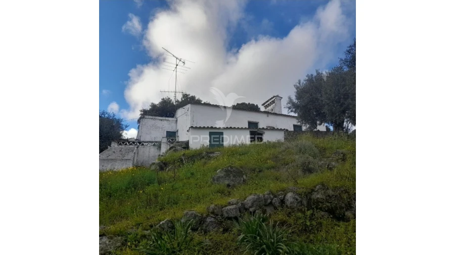 Quinta T3 para Venda em Ribeira de Nisa e Carreiras Foto 2