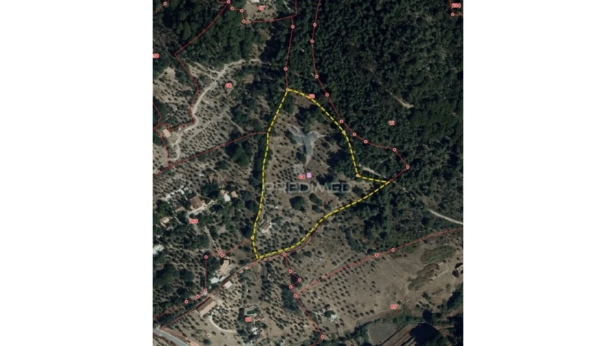 Quinta T3 para Venda em Ribeira de Nisa e Carreiras Foto 16