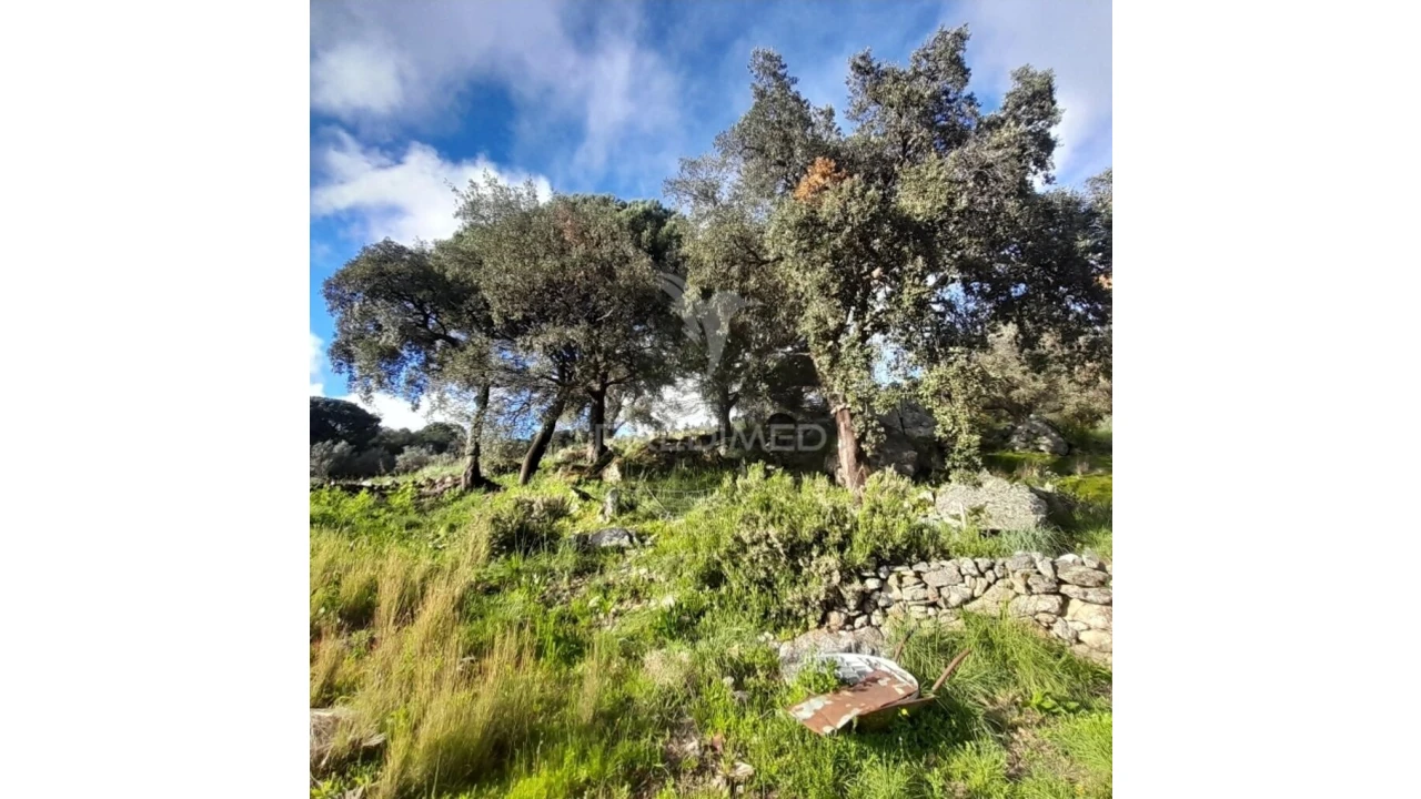 Quinta T3 para Venda em Ribeira de Nisa e Carreiras Foto 7