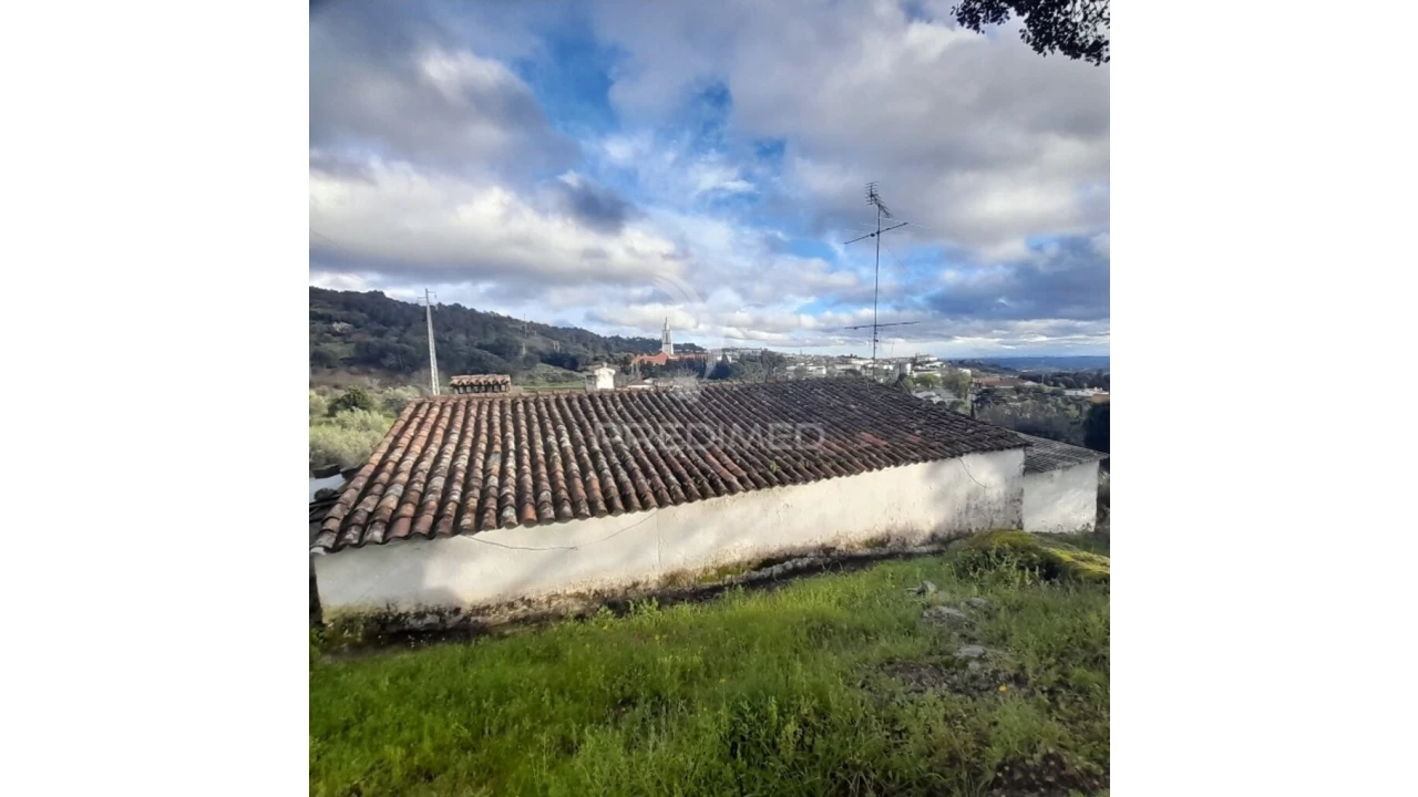 Quinta T3 para Venda em Ribeira de Nisa e Carreiras Foto 15