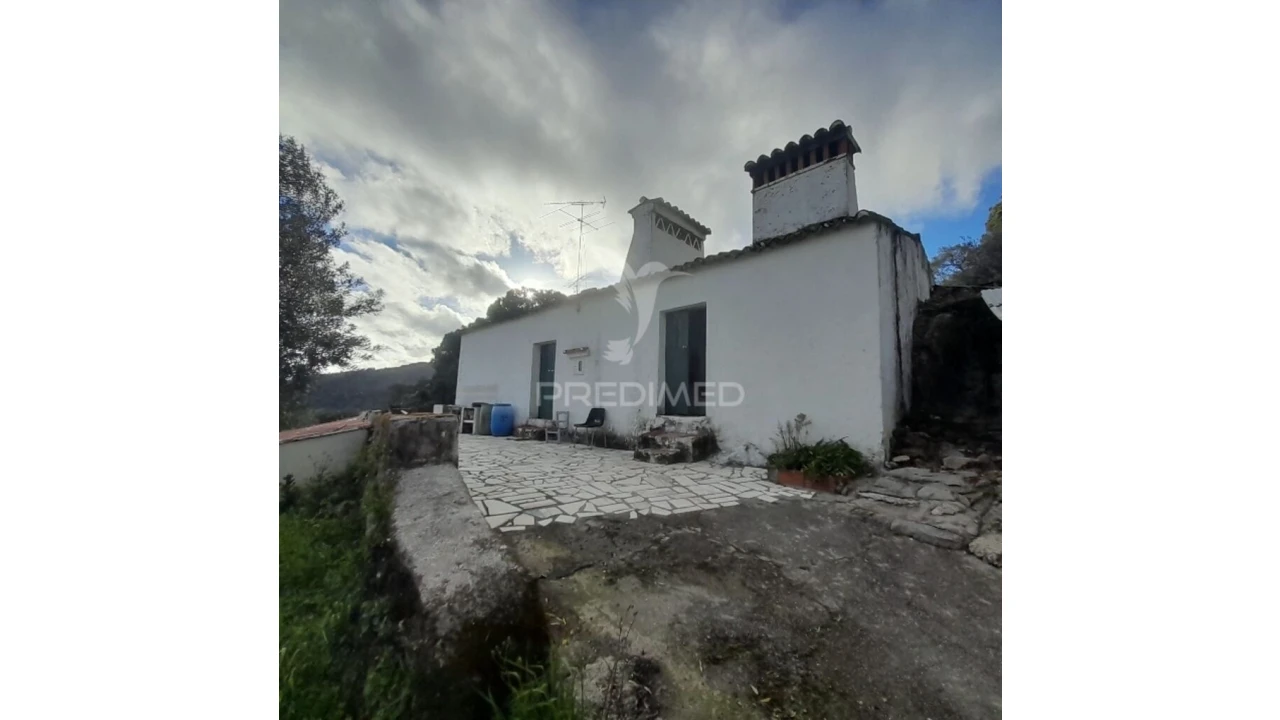 Quinta T3 para Venda em Ribeira de Nisa e Carreiras Foto 9