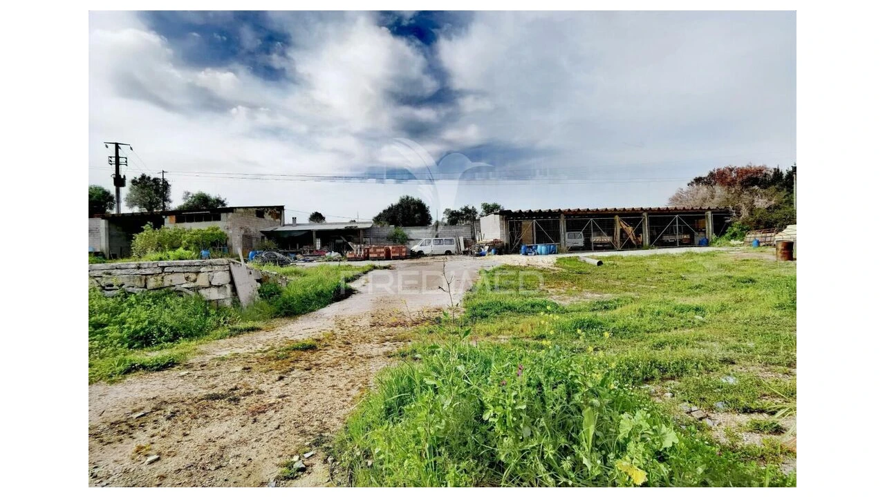 Armazém para Venda em Alcanena e Vila Moreira Foto 14